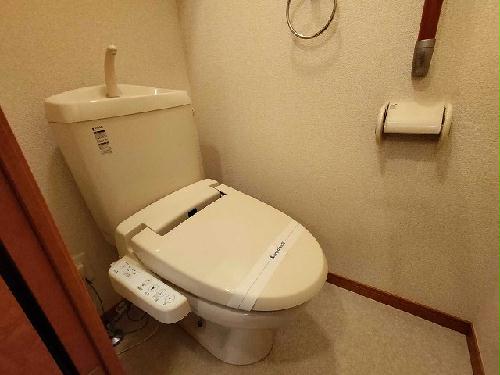 6/12 その他画像