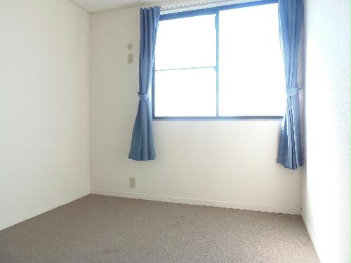 8/12 その他画像