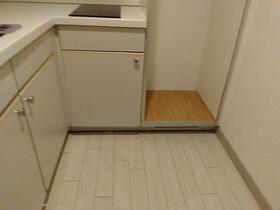 13/16 その他画像