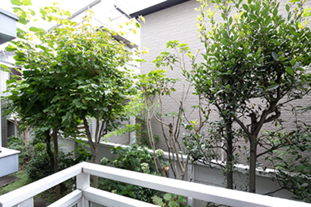 12/25 その他画像