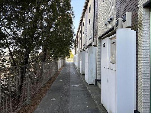 11/14 その他画像