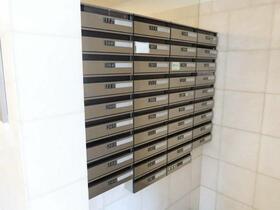 8/11 その他画像