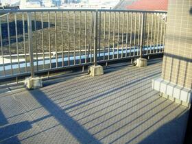 11/11 その他画像