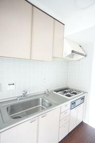 4/16 その他画像