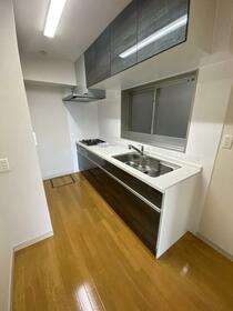 5/11 その他画像