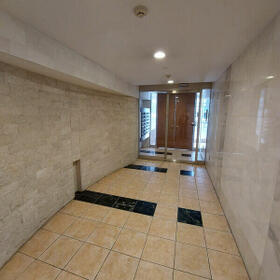 4/11 その他画像