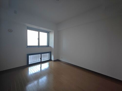 11/11 その他画像