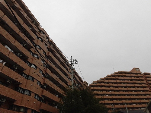 1/2 外観