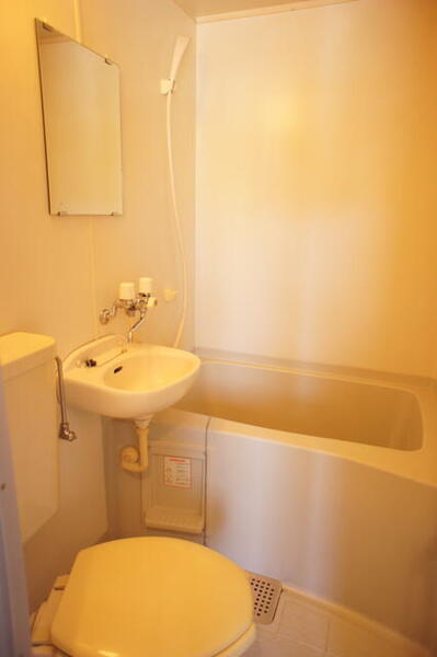 5/11 その他画像