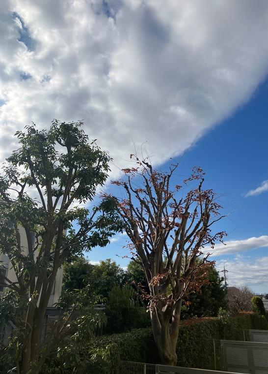 16/18 その他画像