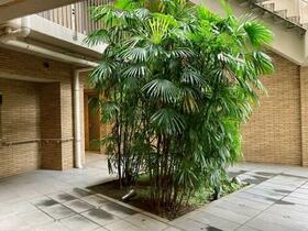 15/16 その他画像