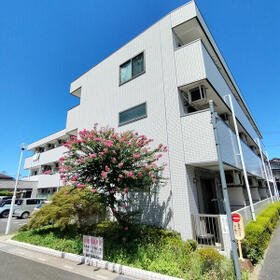 5/16 その他画像