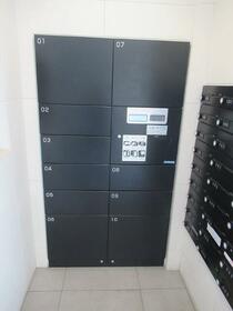 15/16 その他画像