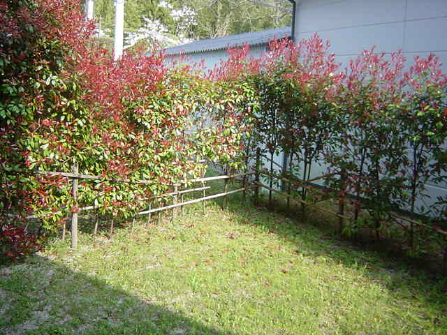 22/28 その他画像