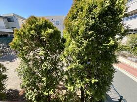 16/16 その他画像