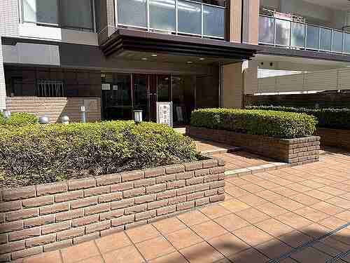 4/11 その他画像