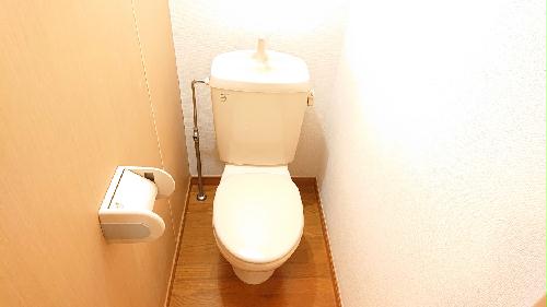 11/14 その他画像