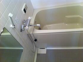 4/16 その他画像