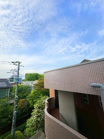 3/7 周辺