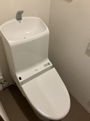 11/11 その他画像