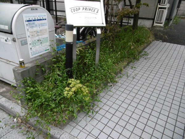 2/2 エントランス