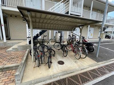 その他画像