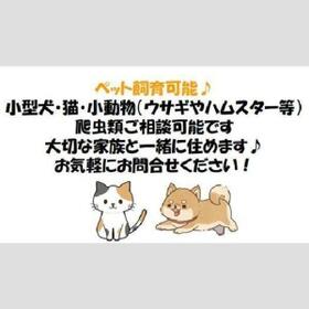 13/16 その他画像