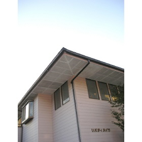 1/6 外観