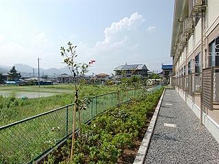 11/14 その他画像