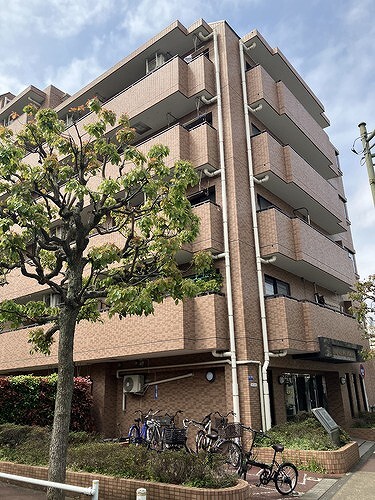 5/6 その他画像