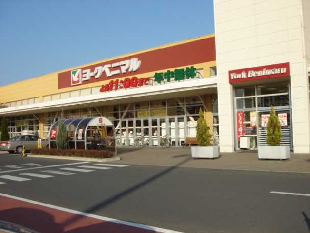 24/24 周辺