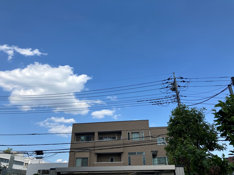 14/17 その他画像