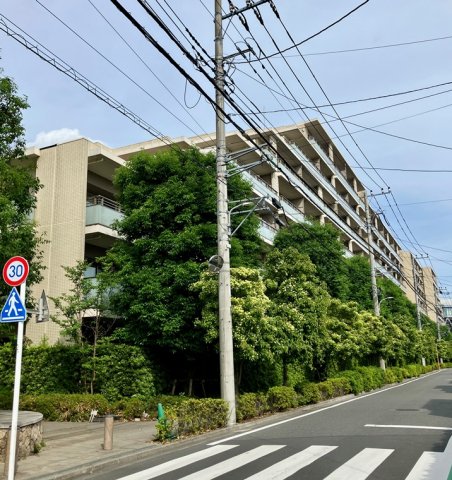 1/17 外観