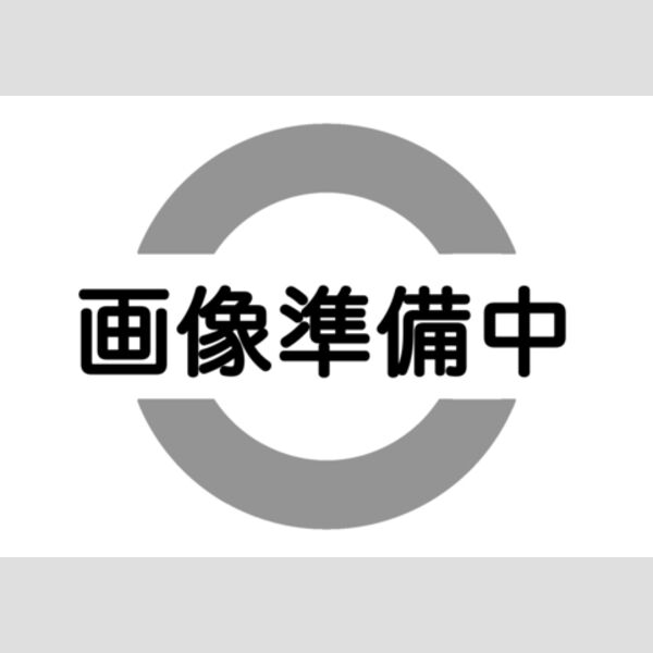 1/1 その他画像