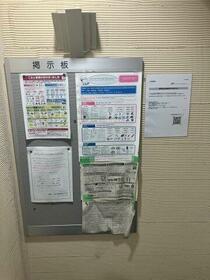 5/5 その他画像