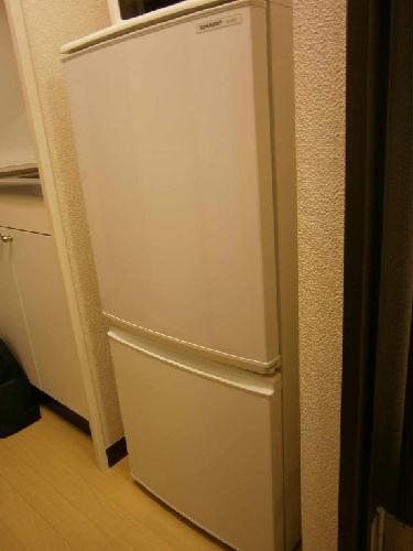 15/25 その他画像