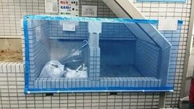 2/2 外観