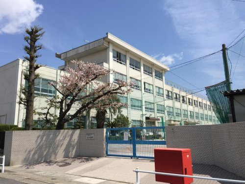 24/25 周辺