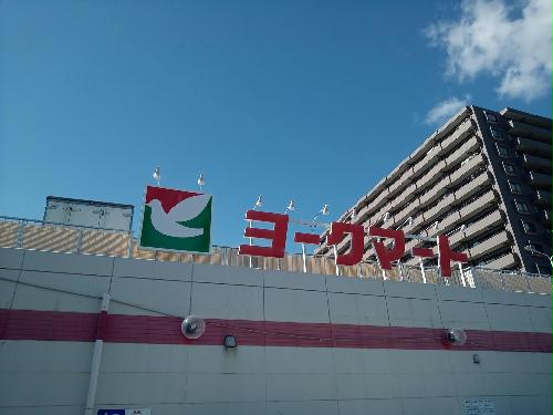 14/14 その他画像
