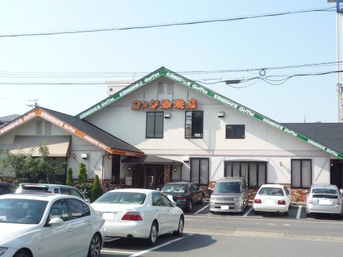 4/9 周辺