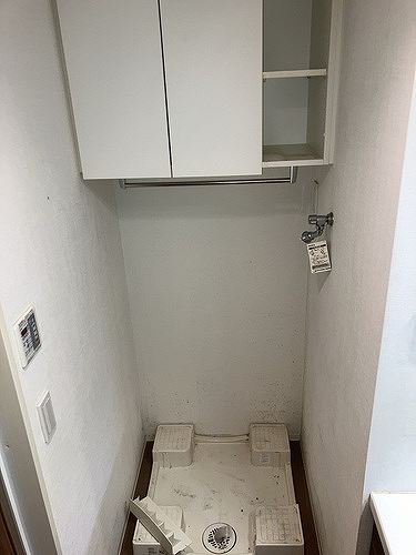 11/11 その他画像