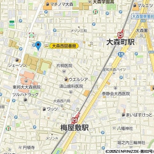 21/29 地図
