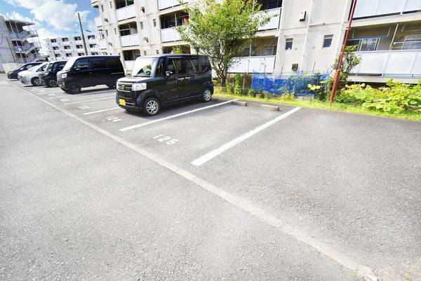 3/13 駐車場