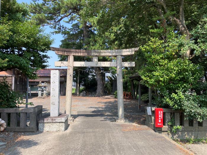 7/7 周辺