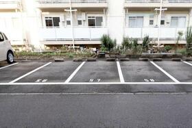 3/6 駐車場
