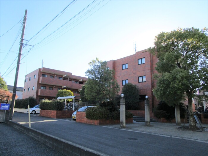 1/19 外観