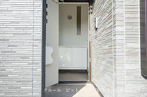 5/14 室内