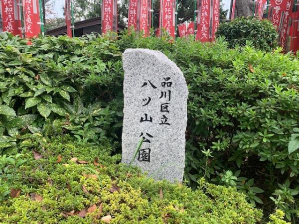 24/28 周辺