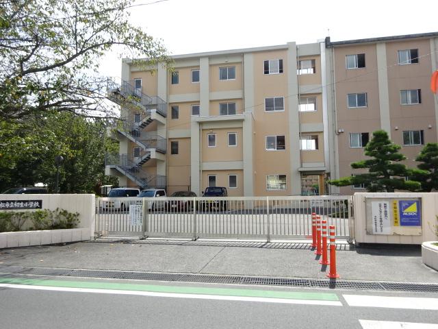 6/6 周辺