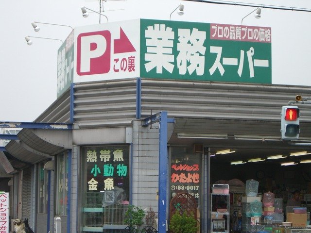 24/25 周辺